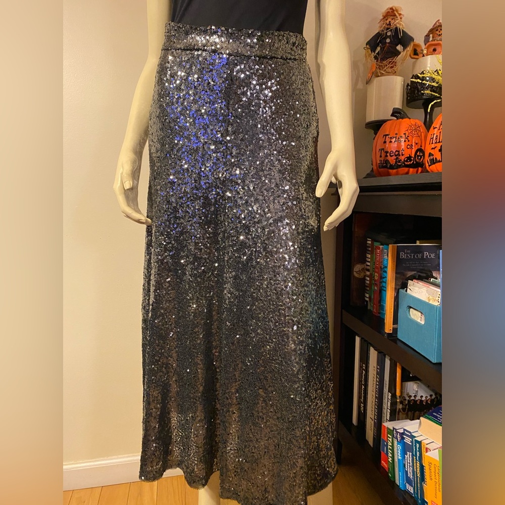 Zara Sequin Maxi Skirt / Size XS